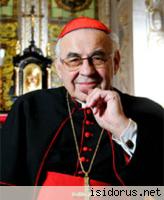 Miloslav kard. Vlk 