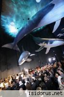 Oficjalne otwarcie Oceanarium Oficjalne otwarcie Oceanarium